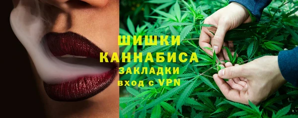 шишки Алзамай