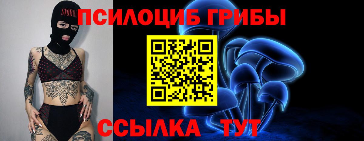 Галлюциногенные грибы Magic Shrooms Новочебоксарск